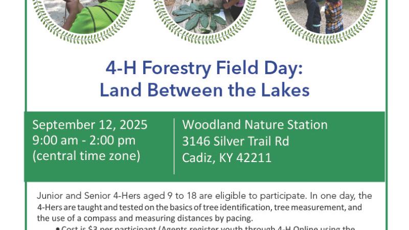 4H Forestry Field Day