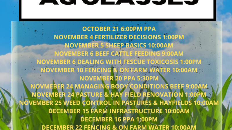 Upcoming AG Classes 