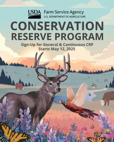 conservation program